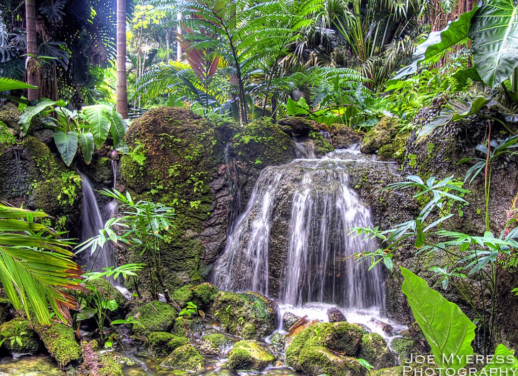 HDR Rainforest Waterfall