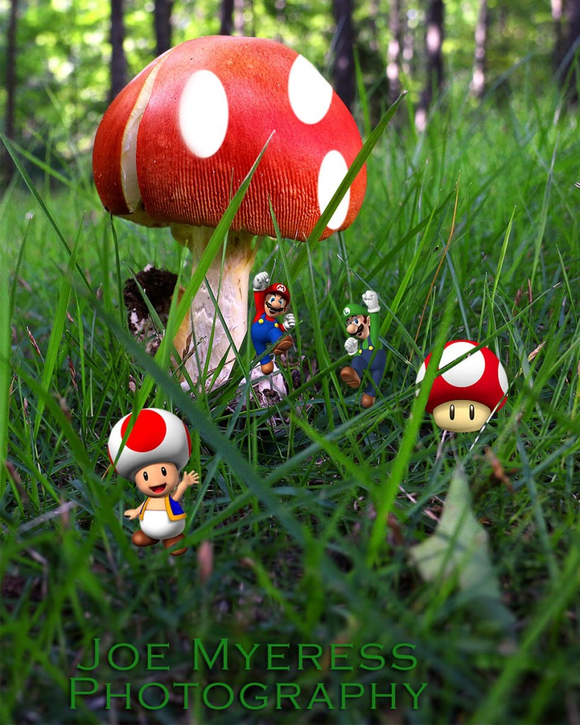 SUPER Mario Mushroom